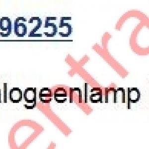 Halogen bulb 12V H1 (box of 10 )             