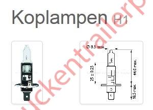 Halogen bulb 12V H1              