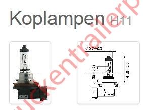 Halogen bulb H11             