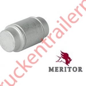 Guide roller     