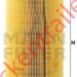 Fuel filter,element              
