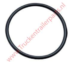 Sealing ring .           